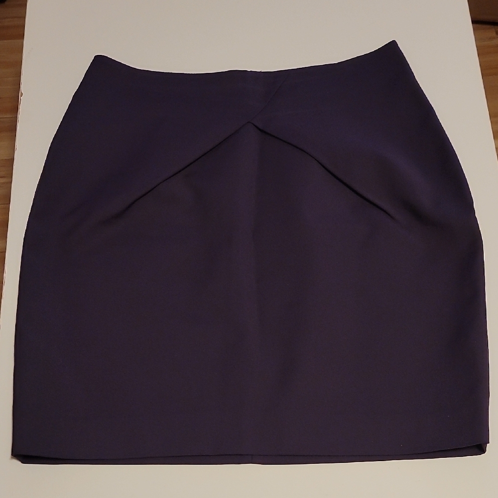 Elegant Purple Skirt